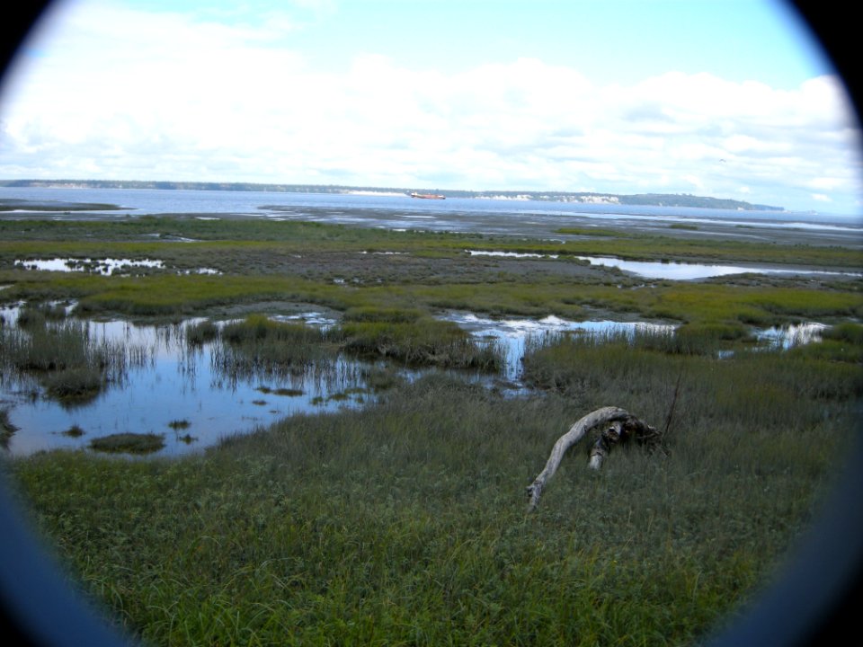 DSCN0528c Tony Knowles Coastal Trail +Westchester Lagoon Anchorage AK 8-17-2018