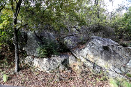 Kennesaw Mountain