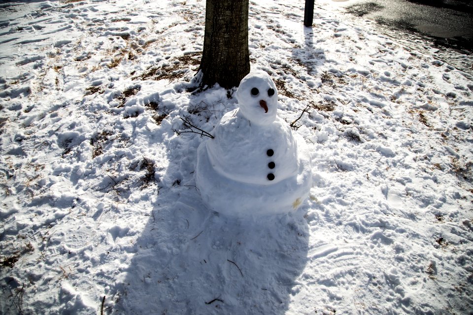 Snow in Kennesaw - January 2014