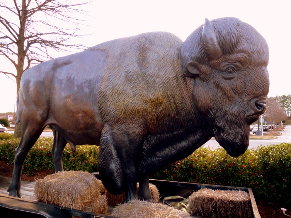Day 13 - Big Bison