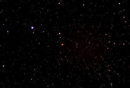 Hind's Crimson Star