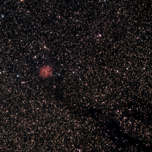 The Cocoon Nebula and Barnard 168 (dark nebula)