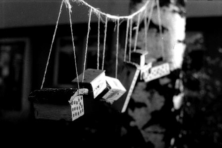 Ricoh TLS 401 with Helios 44-2 - Bees Hotels