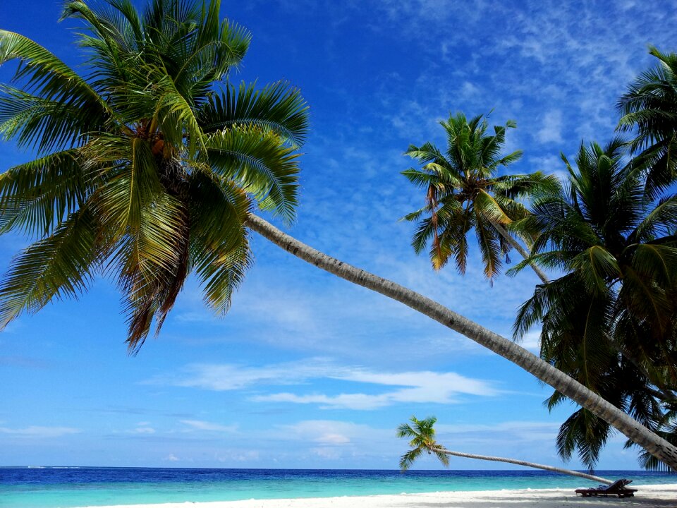 Beach paradise filetheyo