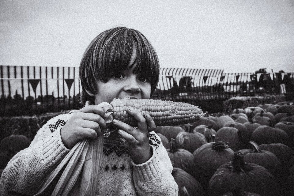 Eating corn october