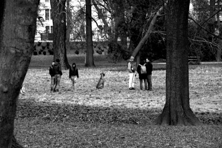 Praktica BC1 with Pentacon Prakticar 2,8/135 - People and Dog in the Park