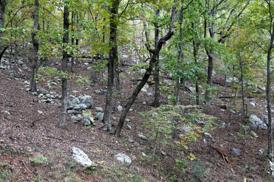 Kennesaw Mountain