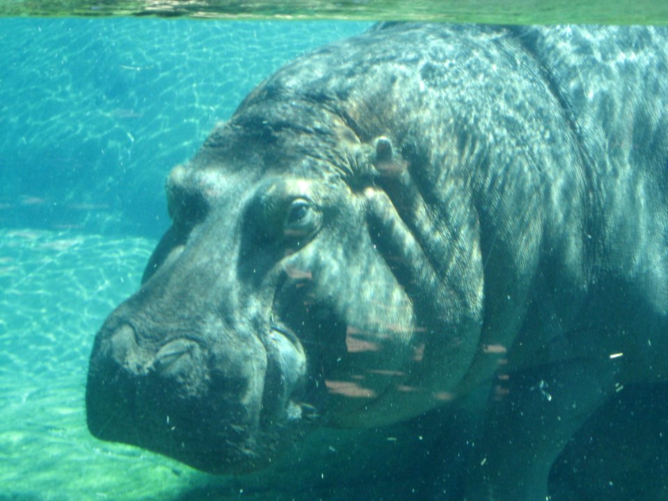 IMG 0363