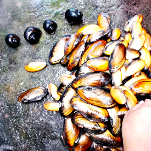 kỉ niệm đẹp của một kì nghỉ hè
