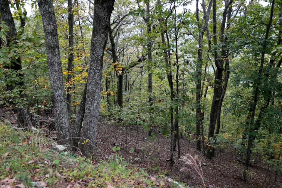 Kennesaw Mountain