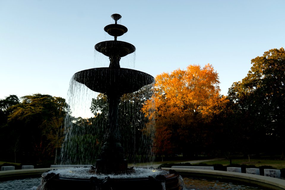 Fall Colors at Tattnall Square Park