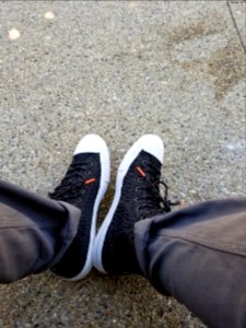 Waiting Sneakers