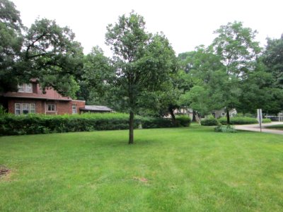 IMG 0126c Aunt Genievie DiCarlo's Oak Beckman Park Kankakee IL 6-22-2018