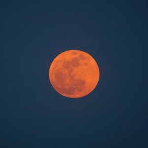 Day 127 - Supermoon photo