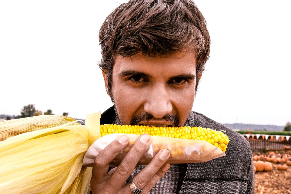 Corn autumn fall
