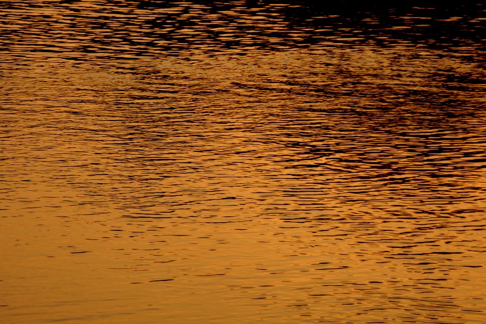 Day 185 - Golden Water