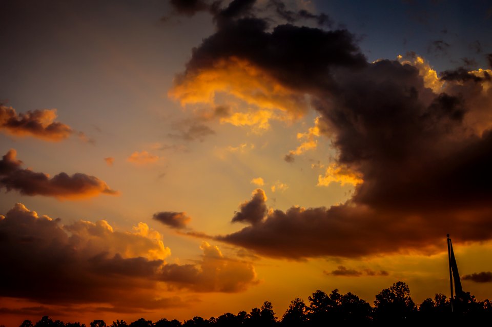 Day 240 - Exposition of Orange
