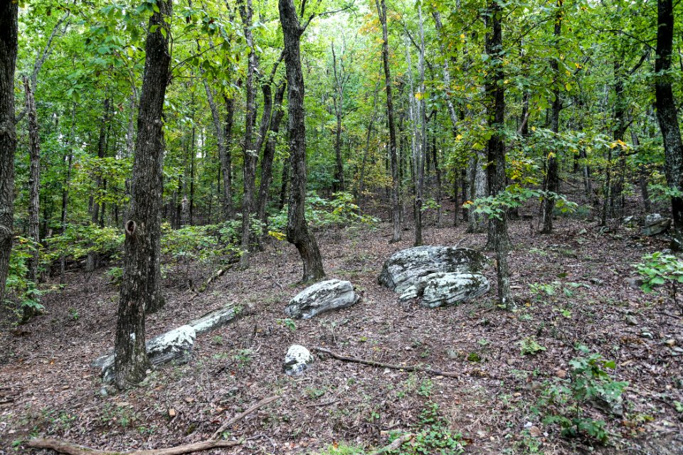 Kennesaw Mountain