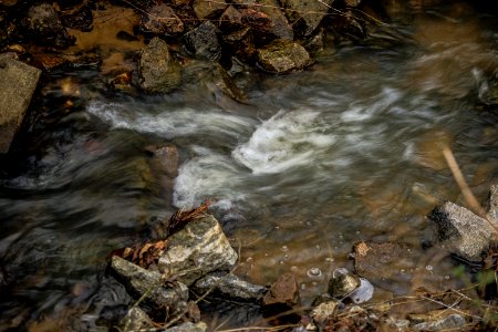 Streaming Along