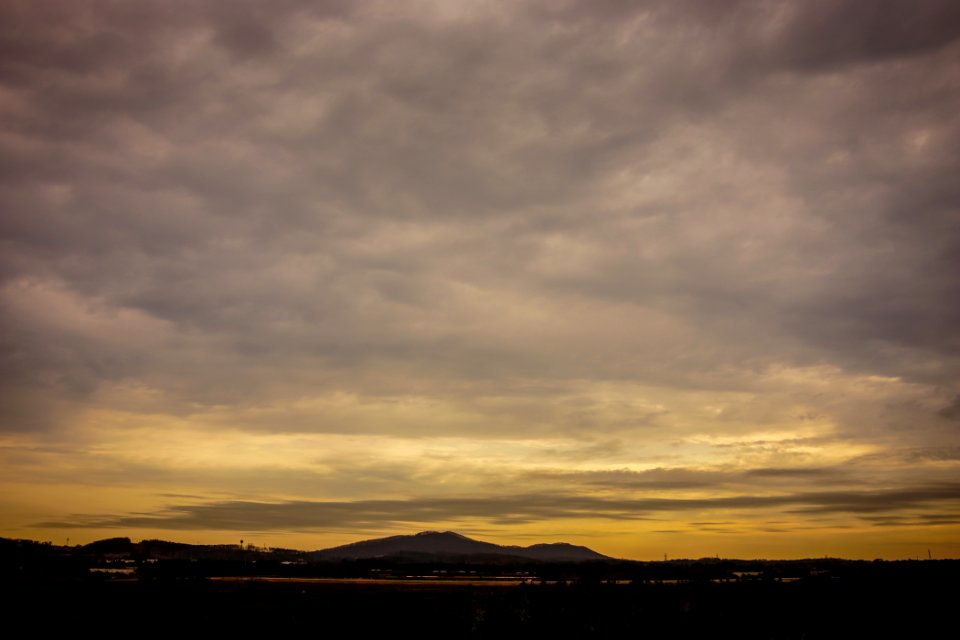 Golden January Afternoon