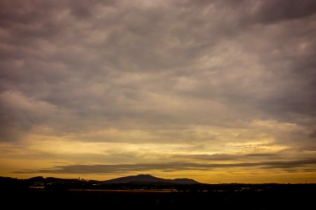 Golden January Afternoon