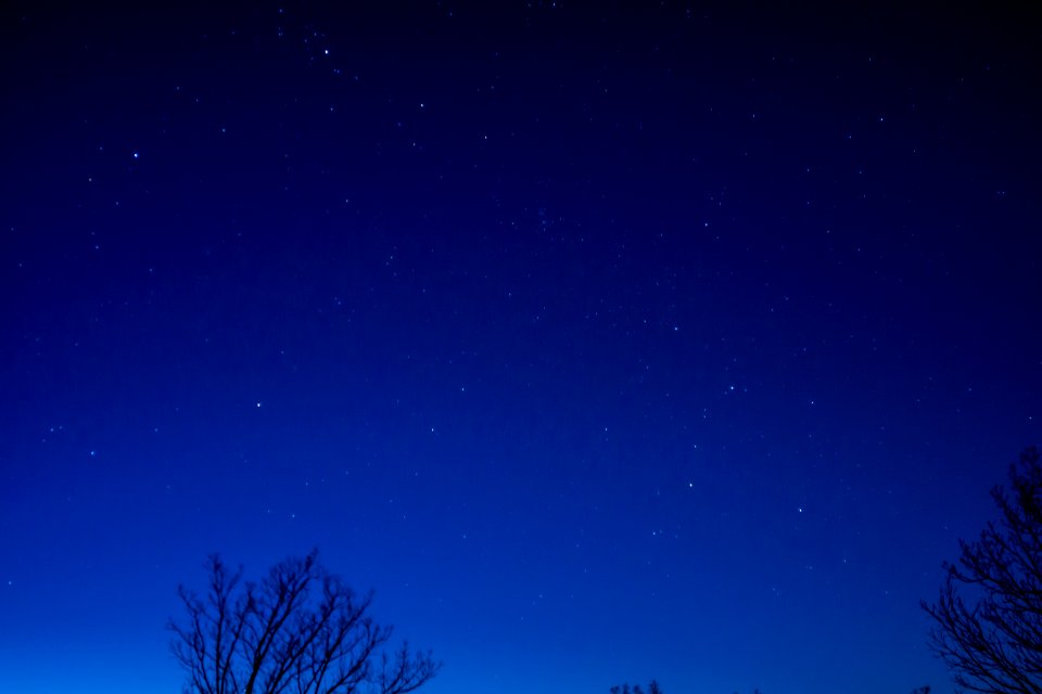 Starry Georgia Night