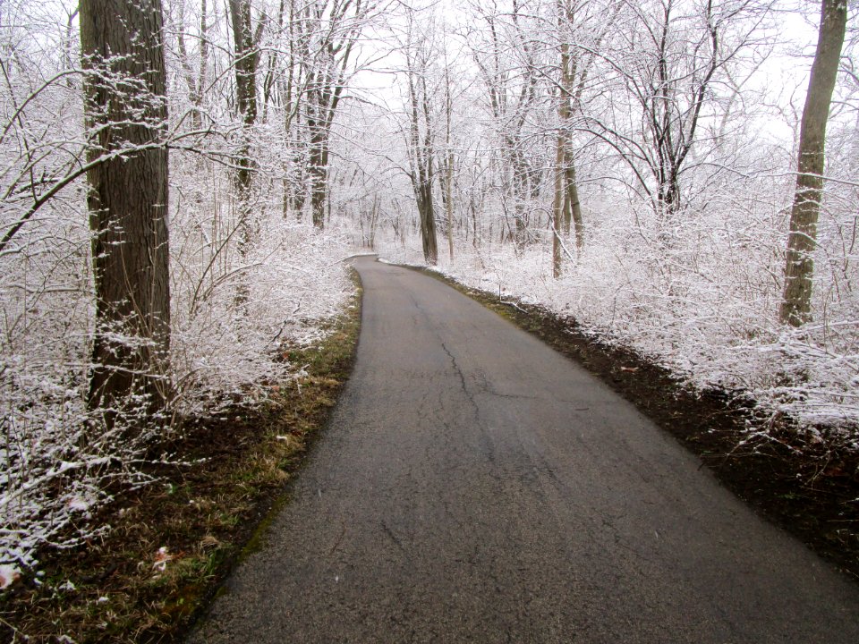 IMG 3677c Perry Farm River Trail Kankakee Co IL 4-9-2018