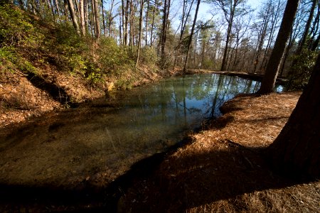 Berry College