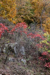 Kennesaw Mountain - October 31st, 2013