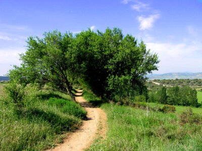 Hiking trail hike