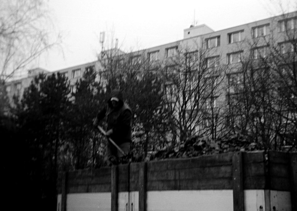 Zeiss Ikon Box Tengor - Man on Platform with Leaves