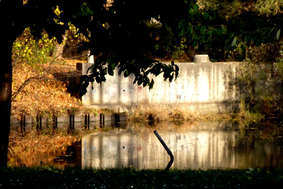 Svratka River