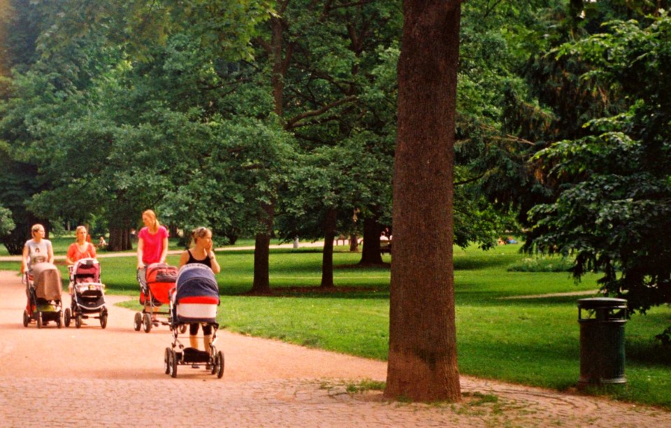Pentacon Electra - Mothers in the Park