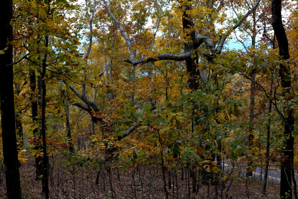 Kennesaw Mountain - October 31st, 2013