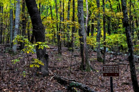 Kennesaw Mountain - October 31st, 2013