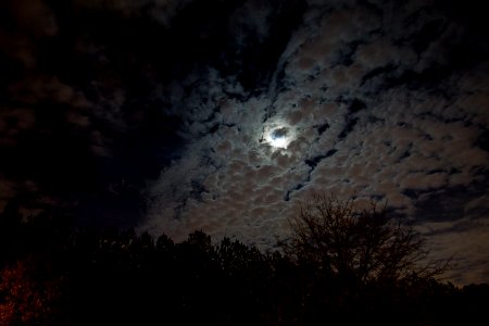 Day 333 - Bizarre November Sky