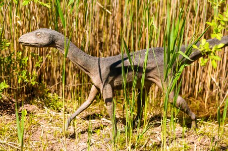 Dino extinct model photo