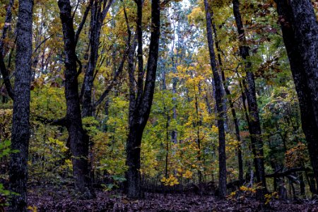 Kennesaw Mountain - October 31st, 2013