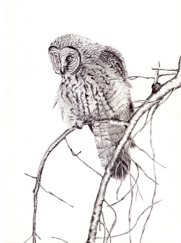 Drawing illustration painting