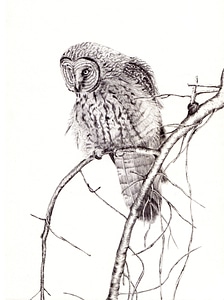 Drawing illustration painting