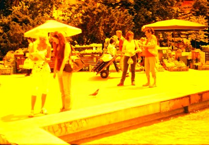 Praktica BC1 - Redscale - People at vegetable Market photo