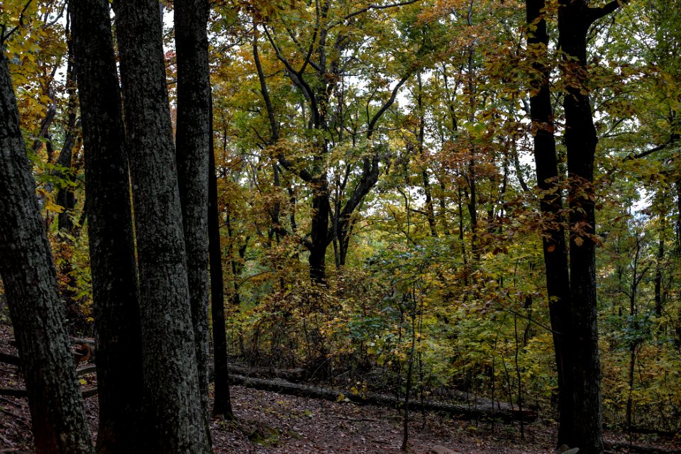 Kennesaw Mountain - October 31st, 2013