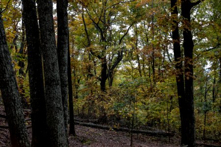 Kennesaw Mountain - October 31st, 2013
