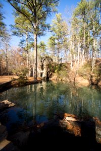 Berry College