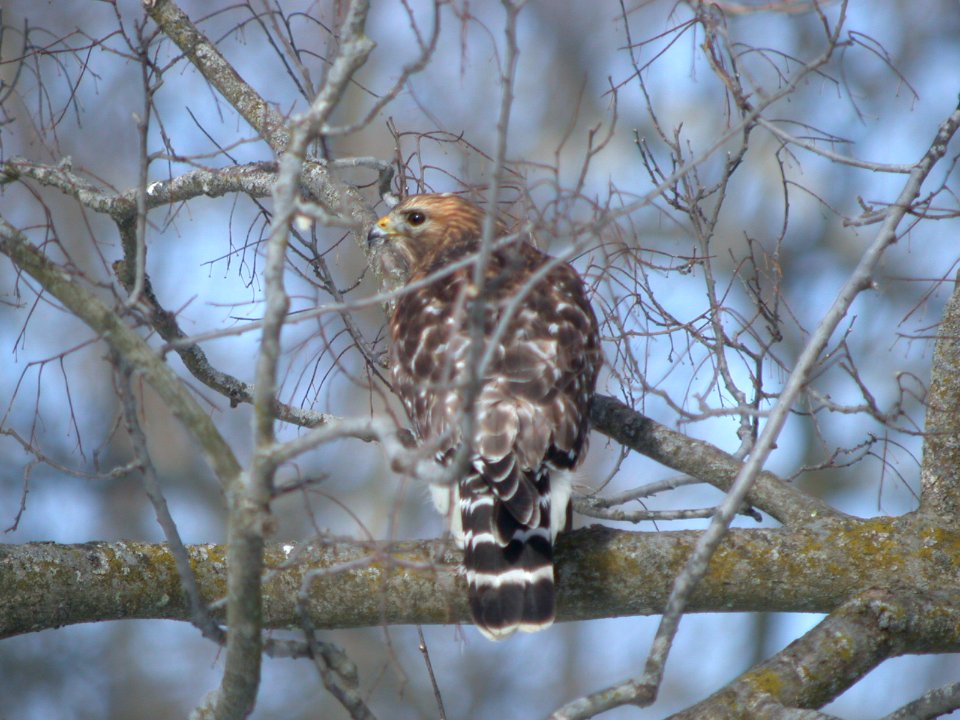 DSCN3317 ReshHa Starved Rock SP IL 2-2-09