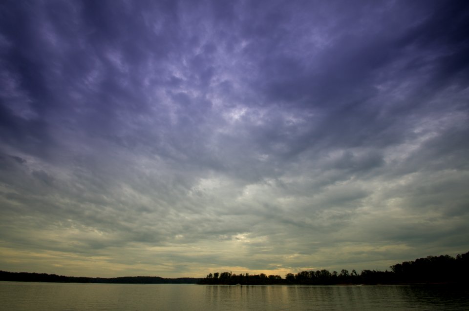 Day 261 - Shades of Purple and Gold