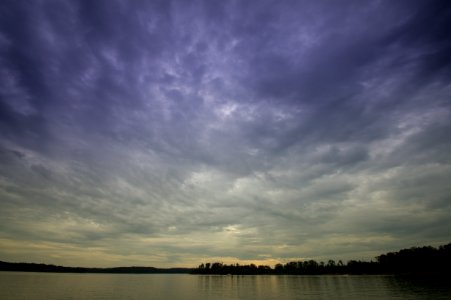 Day 261 - Shades of Purple and Gold