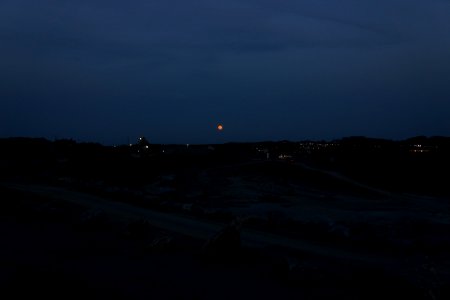 DSC05895