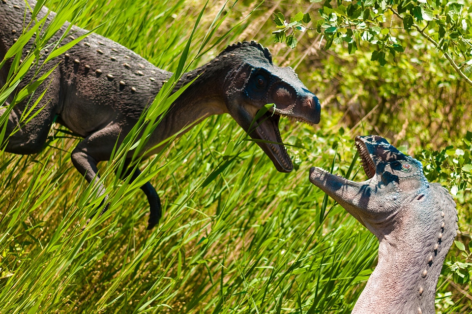 Dino extinct model