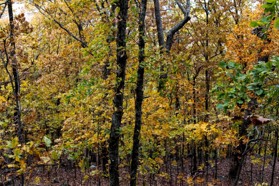 Kennesaw Mountain - October 31st, 2013